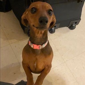 Meet your Posher, Mitch